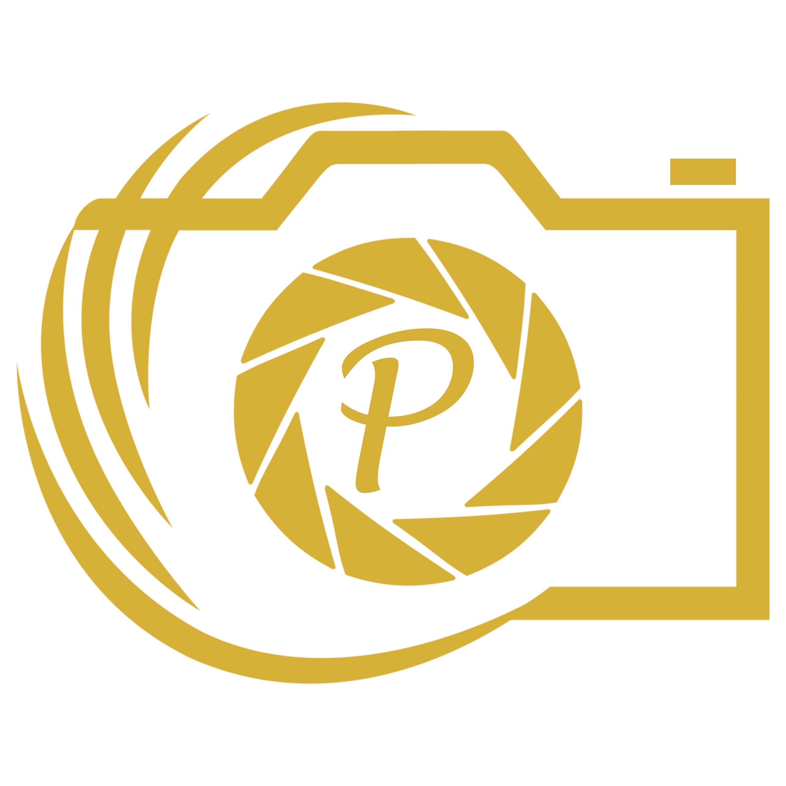 Pascoe Media gold icon